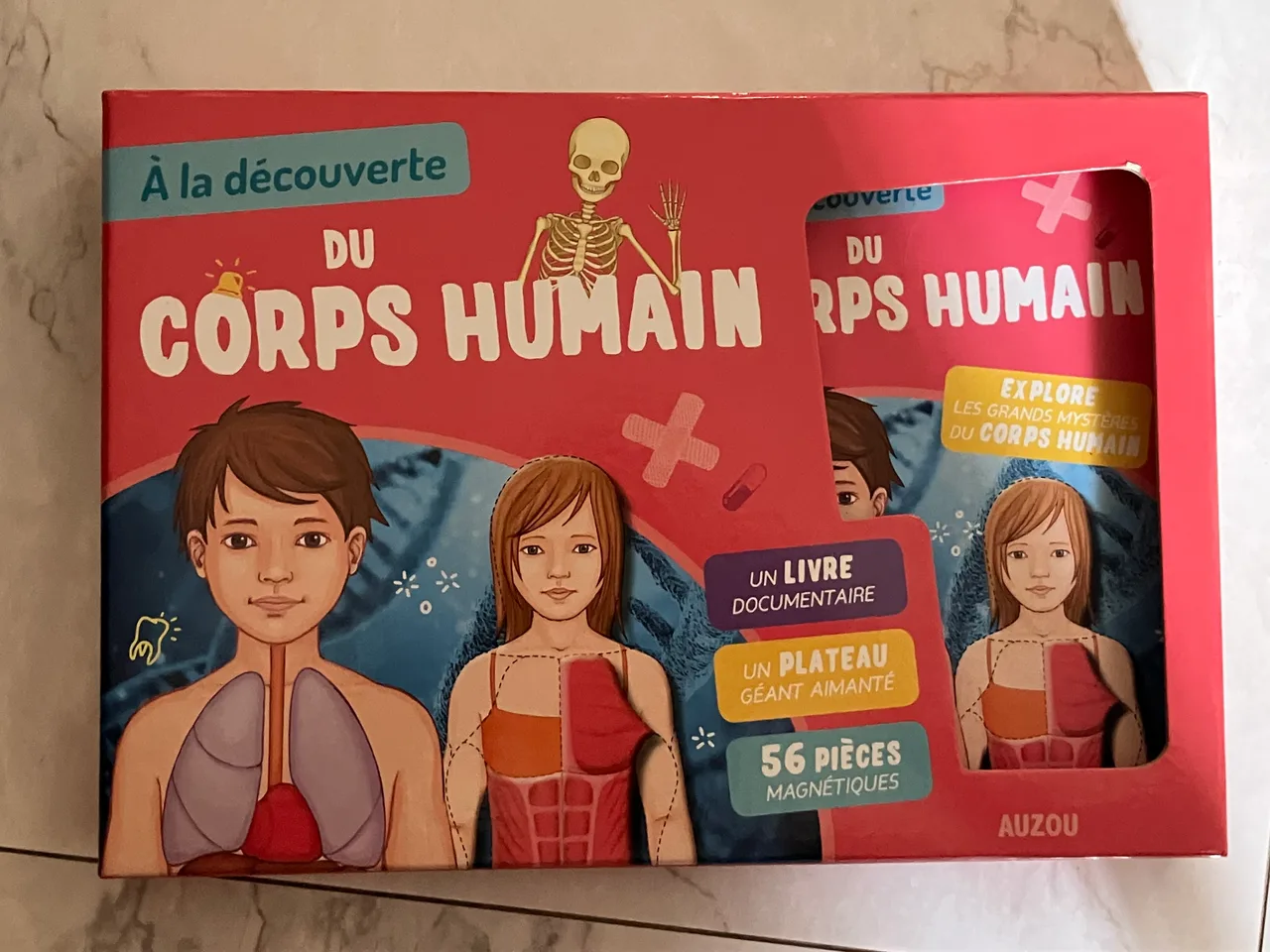 Jeux corps humain