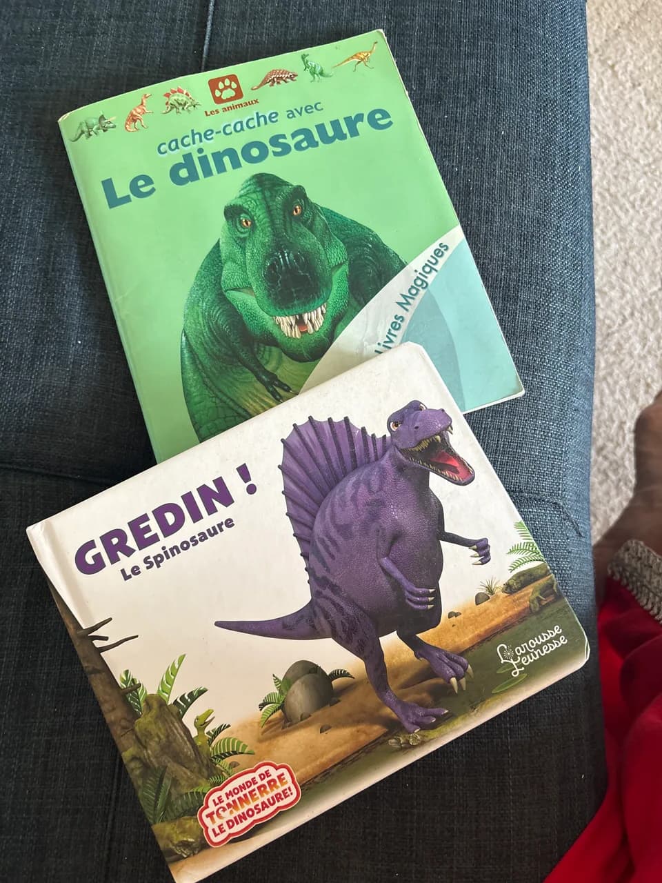 Livre sur les dinosaures