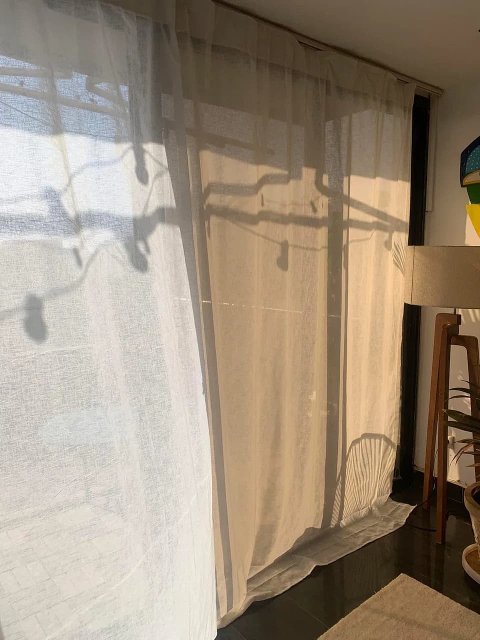 Lot de deux voilages blancs
