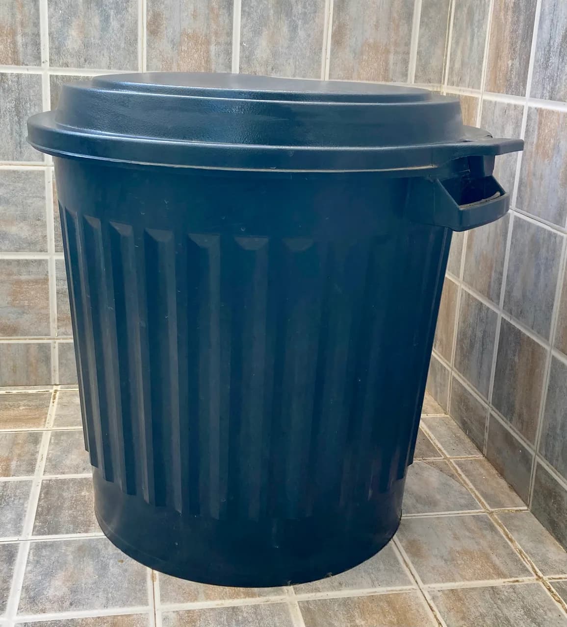 Grand poubelle 100l