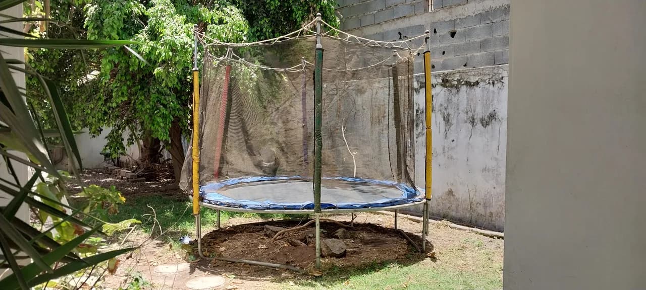 Trampoline